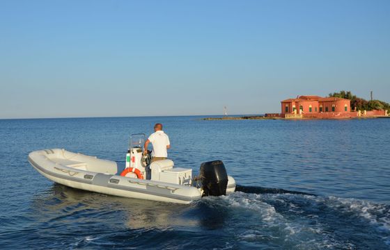 RIB 6 Sealife