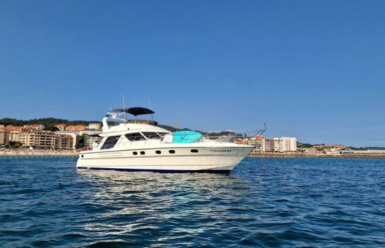 Princess V55 Loyal