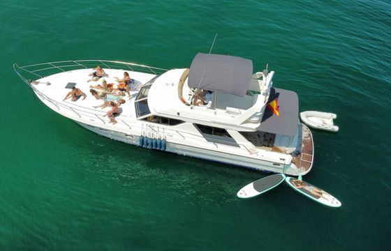 Princess V55 Loyal