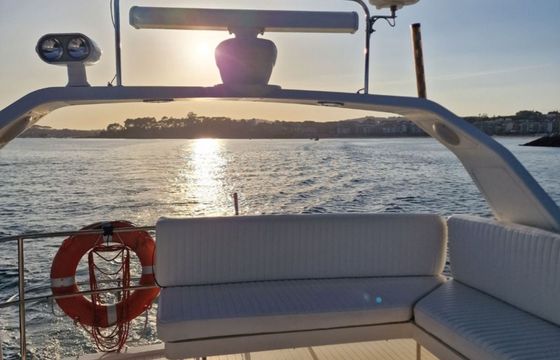Princess V55 Loyal