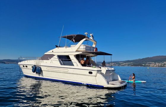 Princess V55 Loyal