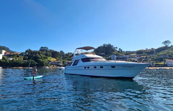 Princess V55 Loyal
