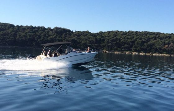 Quicksilver 755 Open