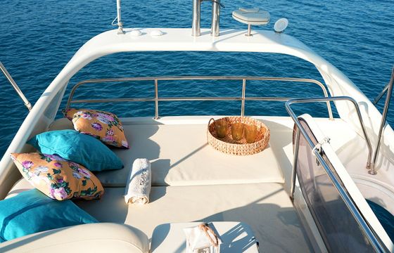 Rodman 38 Escape 2