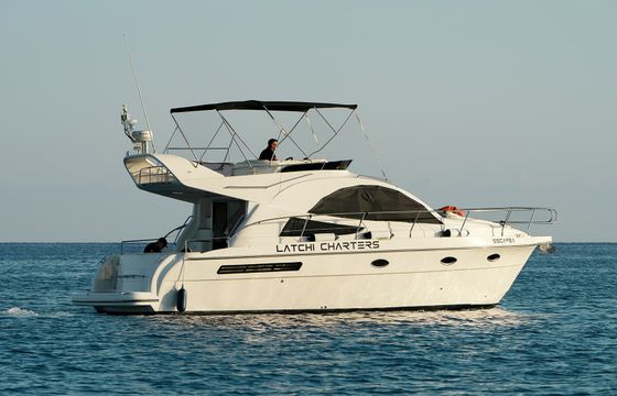 Rodman 38 Escape 2