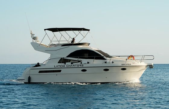 Rodman 38 Escape 2