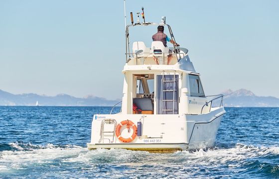 Rodman 870 Txampa Hiru