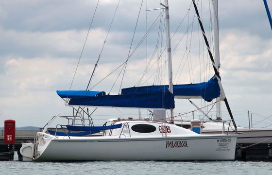 Scholtz 22 Maya