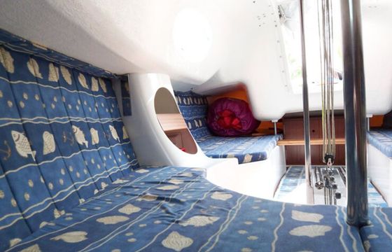 Scholtz 22 Maya