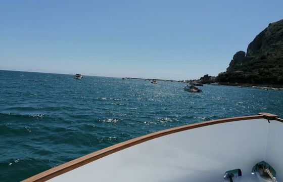 Raffaelli Regal 35 Hattare