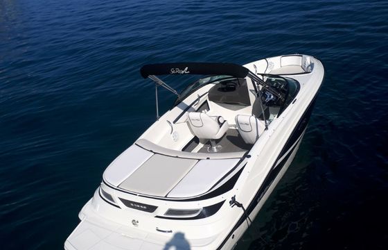 Sea Ray 190 Sport black - Rovinj