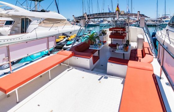 Quer 40 Pro Vip Boat