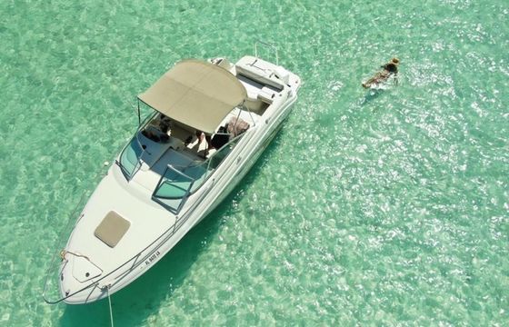 Sea Ray 250 Annie's Toy