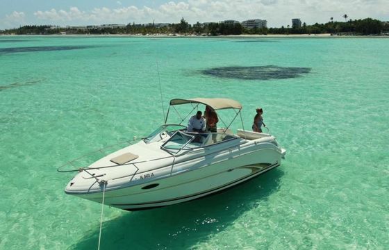 Sea Ray 250 Annie's Toy