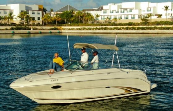 Sea Ray 250 Annie's Toy