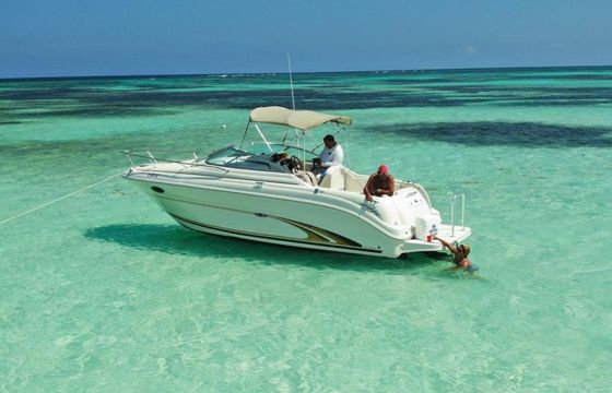 Sea Ray 250 Annie's Toy