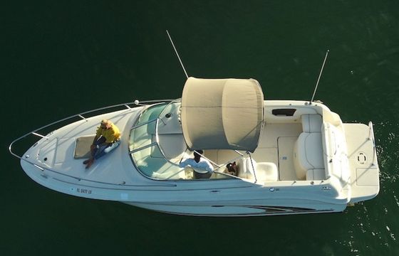 Sea Ray 250 Annie's Toy