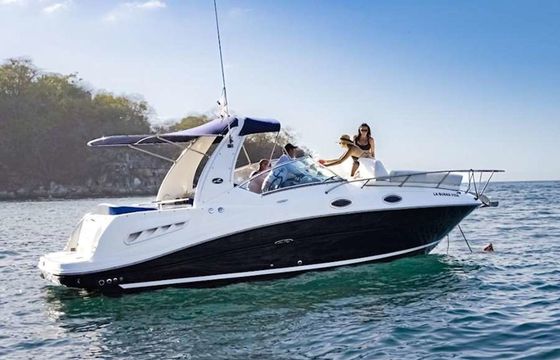 Sea Ray 260 La Buena Vida