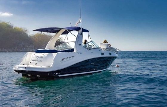Sea Ray 260 La Buena Vida