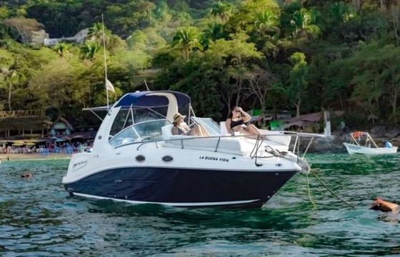 Sea Ray 260 La Buena Vida