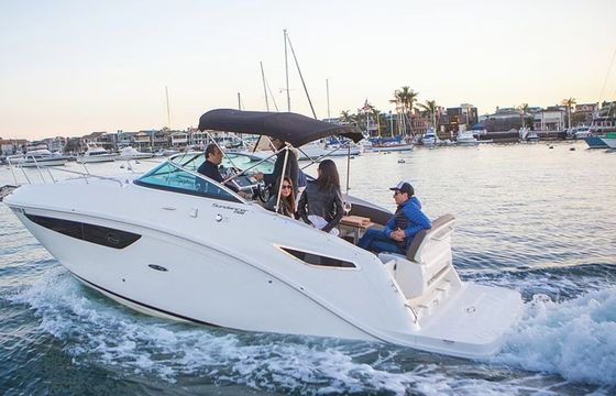 Sea Ray 260 15