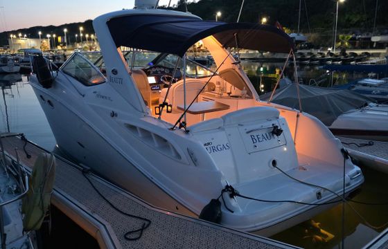 Sea Ray 290 Beauty