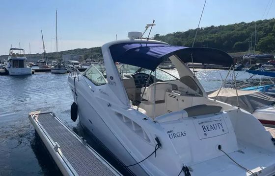 Sea Ray 290 Beauty