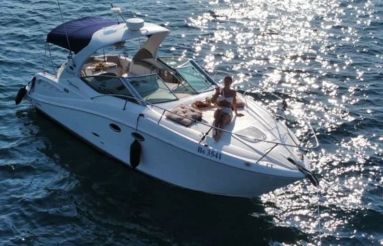 Sea Ray 290 Beauty
