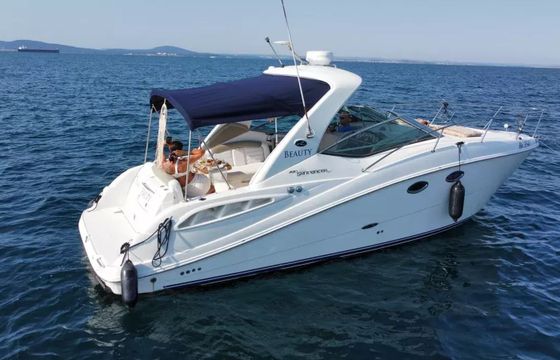 Sea Ray 290 Beauty