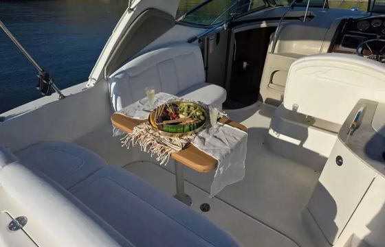 Sea Ray 290 Beauty