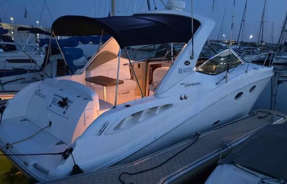 Sea Ray 290 Beauty