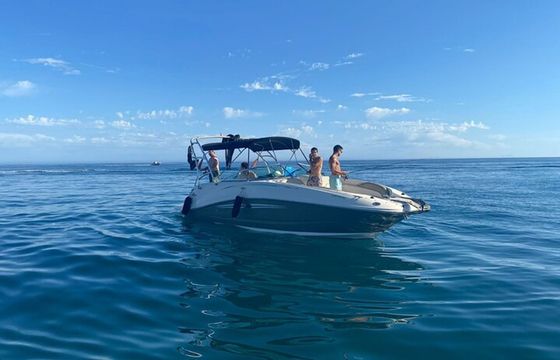 Sea Ray 260 Fenlander 4