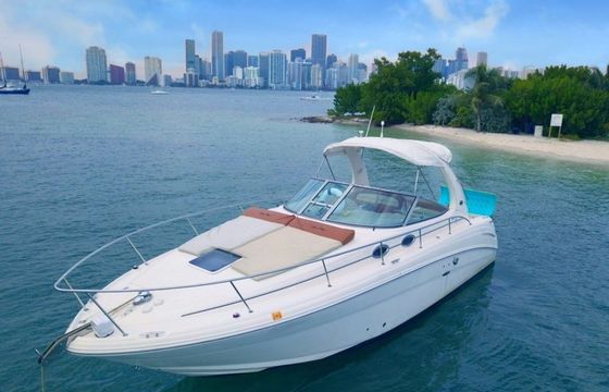 Sea Ray 330 Paradise 1