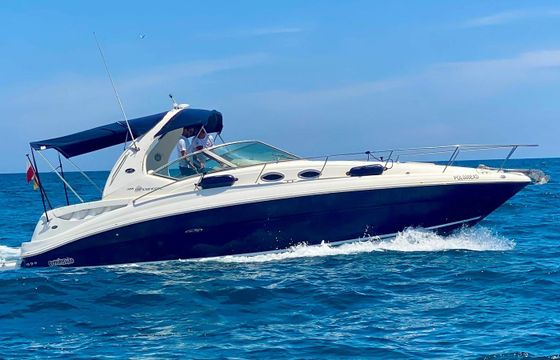 Sea Ray 355 JM10