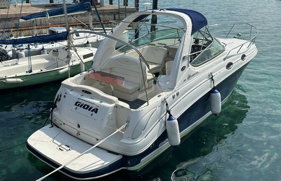 Sea Ray 315 Sundancer GIO yacht