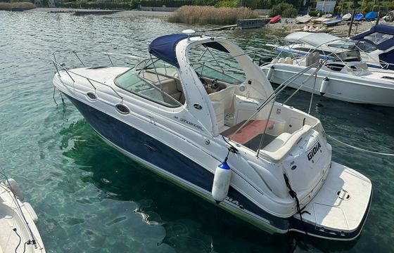Sea Ray 315 Sundancer GIO yacht
