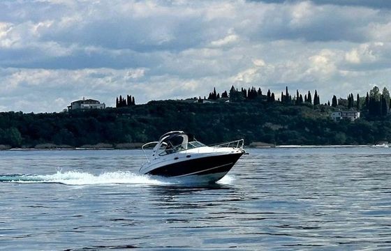 Sea Ray 315 Sundancer GIO yacht
