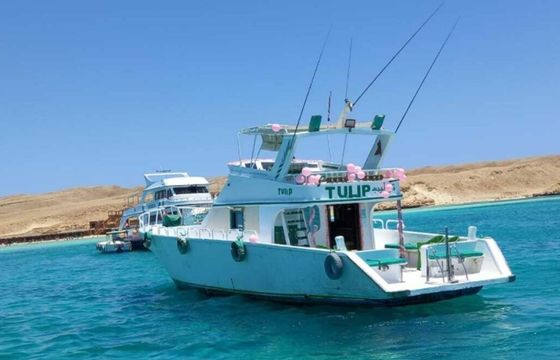 Rashid Shipyard Tulip