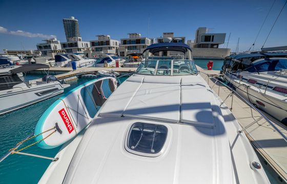 Sea Ray 375 Captain Vasilis
