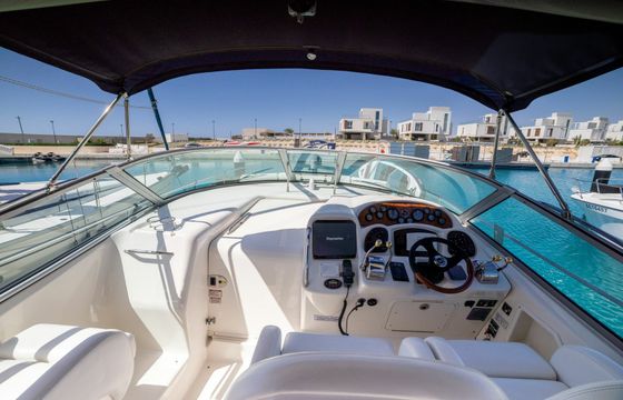 Sea Ray 375 Captain Vasilis