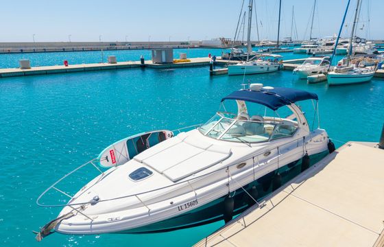 Sea Ray 375 Captain Vasilis