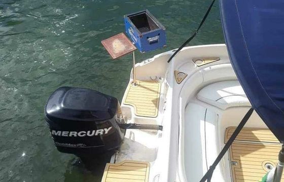 Real 24 Seaholic 20