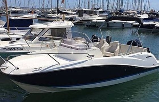 Quicksilver 605 Helios