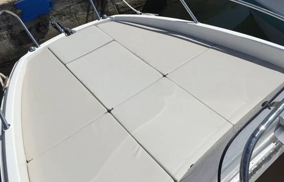Quicksilver 605 Helios