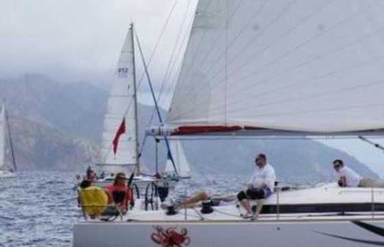 Salona 41 Grey Goose