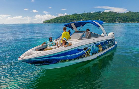 Regal 2700 Princess Sandra