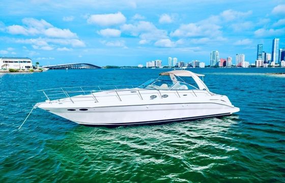 Sea Ray 45 Finally