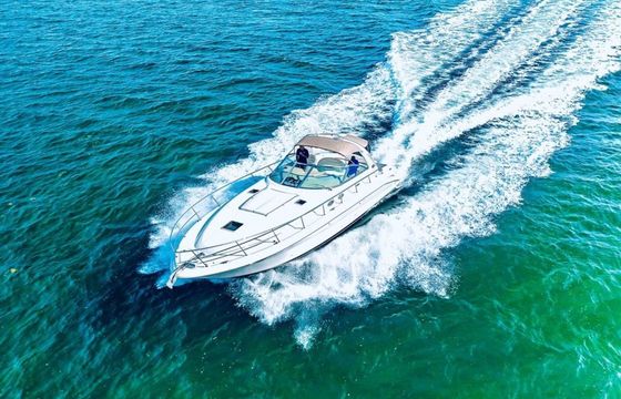 Sea Ray 45 Finally
