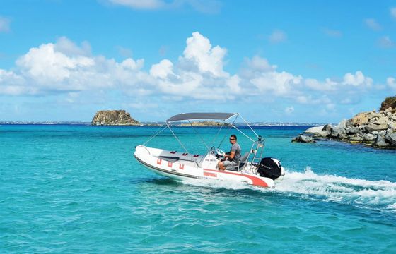 RIB 480 Mojito