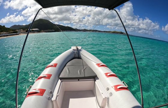RIB 480 Mojito